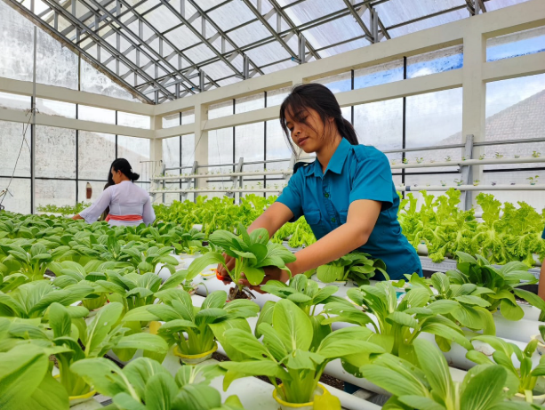 Belajar Pertanian Modern dan Siap Berinovasi di SMK-PPN Kutacane